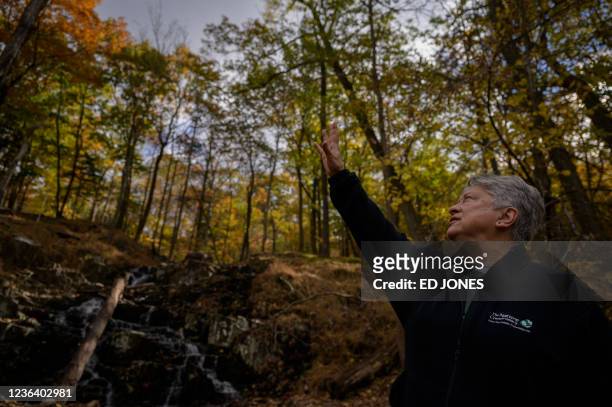 Barbara Brummer, state director of the Nature Conservancy in New Jersey, gestures towards the trees and foliage at the High Mountain Park Preserve in...