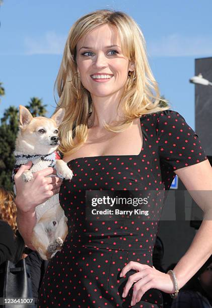 Actress Reese Witherspoon poses with "Legally Blonde" co-star Bruiser at the Reese Witherspoon Hollywood Walk Of Fame Star Induction Ceremony on...