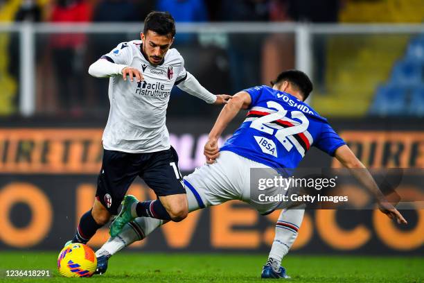 Nicola Sansone of Bologna and Maya Yoshida of Sampdoria vie for the ball during the Serie A match between UC Sampdoria and Bologna Fc at Stadio Luigi...