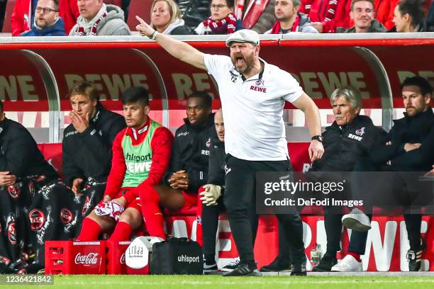 Chef-head coach Steffen Baumgart of FC Koeln gestures during the Bundesliga match between 1. FC Köln and 1. FC Union Berlin at RheinEnergieStadion on...