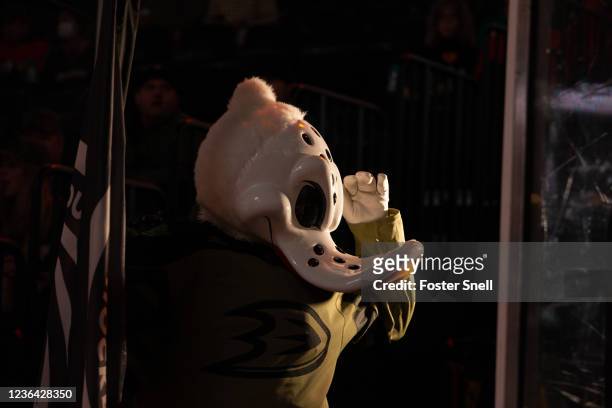 Anaheim Ducks mascot Wild Wing salutes before taking the ice for pre-game ceremonies as the team celebrated Military Appreciation night during a...