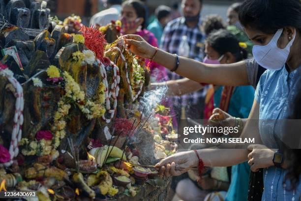 Snake Rituals Snake Worship Photos and Premium High Res Pictures - Getty Images