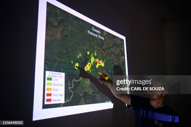 Conservationist Fernando Tortato of the NGO Panthera, shows a map of the areas frequented the most by Ousado, a jaguar who was rescued from fires and...