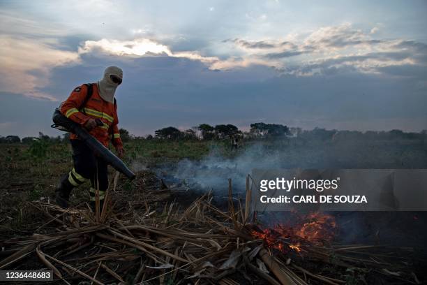 Firefighter works to put out a large forest fire in Porto Jofre, Pantanal, Mato Grosso state, Brazil, on September 5, 2021. - The Amazon, home to...