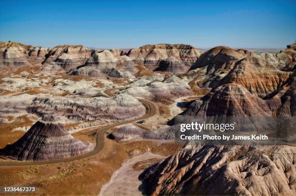 blue mesa trail, petrified forest national park - parque nacional da floresta petrificada - fotografias e filmes do acervo