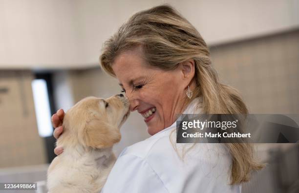 Sophie, Countess of Wessex visits the Guide Dogs National Centre on November 11, 2021 in Leamington Spa, England.