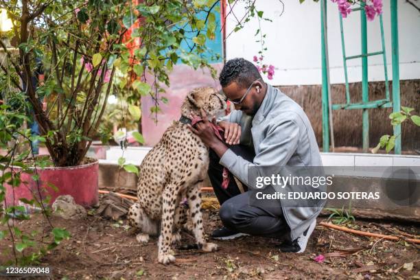 Ouzain cuddles his cheetah, which is kept as an attraction in a popular restaurant, in the city of Hargeisa, Somaliland, on September 15, 2021. - He...