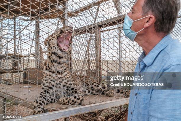 Member of the Cheetah Conservation Fund talks with a leopard as it stays inside a cage in one of the facilities of the organisation in the city of...