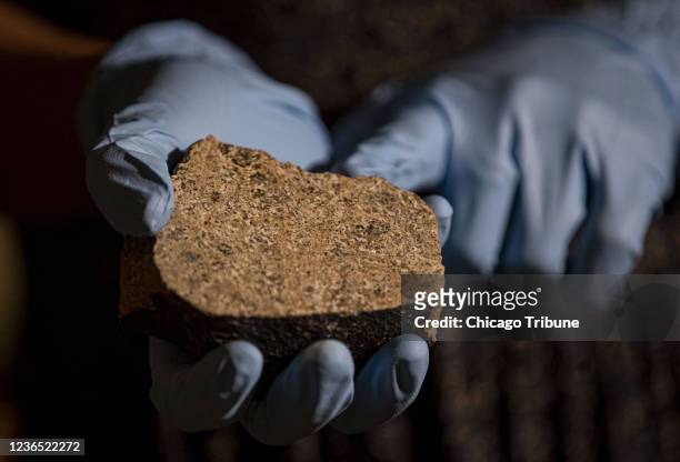 Maria Valdes, a postdoctoral researcher studying meteorites, holds pieces of a meteorite identified as coming from the asteroid Vesta on June 30 at...