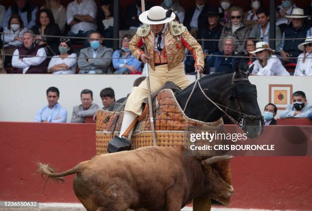 Picador atop a horse spikes a bull during the opening bullfight of the 2021 season at the Esperanza bullring in Pachacamac, Peru, on November 13,...