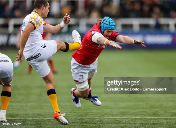 Newcastle Falcons' Connor Collett attempts the charge down as Wasps Sam Wolstenholme clears during the Premiership Rugby Cup match between Newcastle...