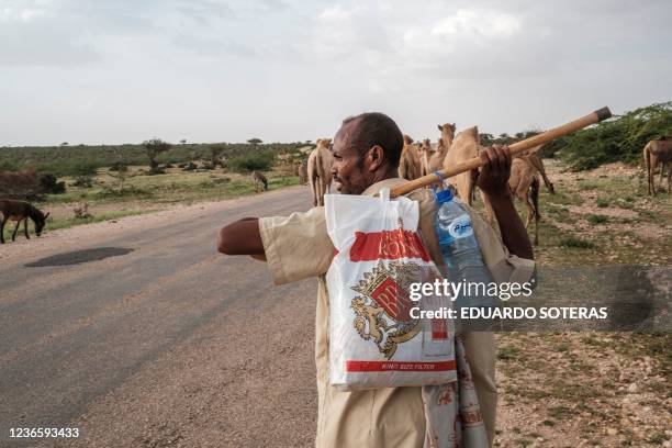 Ali Abdi Elmi walks with his herd of camels in the outskirts of the city of Hargeisa, Somaliland, on September 18, 2021. - For many Somalis, the...