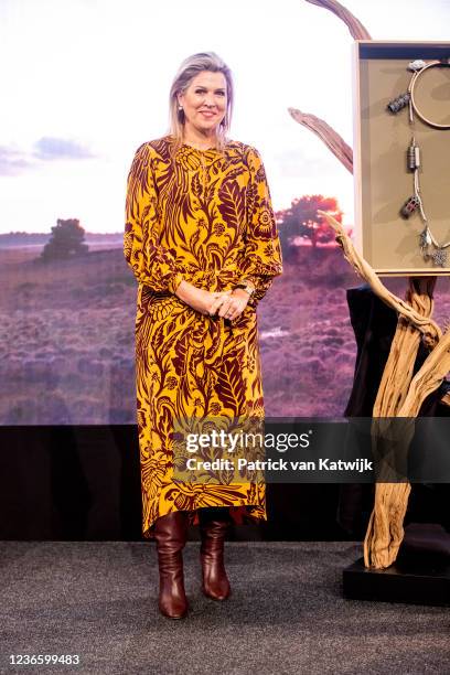 Queen Maxima of The Netherlands attends the award ceremony of the Prince Bernhard Culture Foundation Award on November 16, 2021 in Radio Kootwijk,...