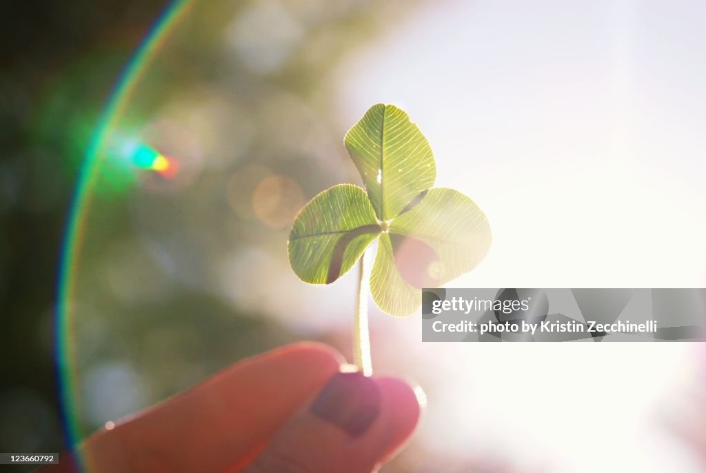 Rainbows and shamrocks