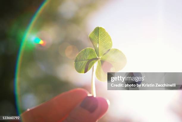 rainbows and shamrocks - four leaf clover rainbow stock pictures, royalty-free photos & images