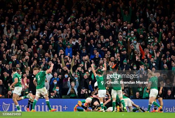 Dublin , Ireland - 13 November 2021; Ireland supporters celebrate a try by Ronán Kelleher during the Autumn Nations Series match between Ireland and...