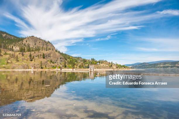 view from bear creek provincial park of logs on lake okanagan, houses and mountains reflected on the water - kelowna stock pictures, royalty-free photos & images