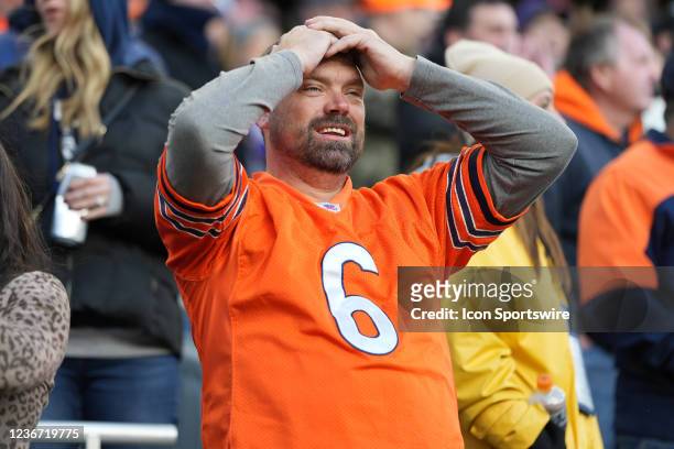 Chicago Bears fan reacts in disappointment during a game between the Chicago Bears and the Baltimore Ravens on November 21, 2021 at Soldier Field, in...