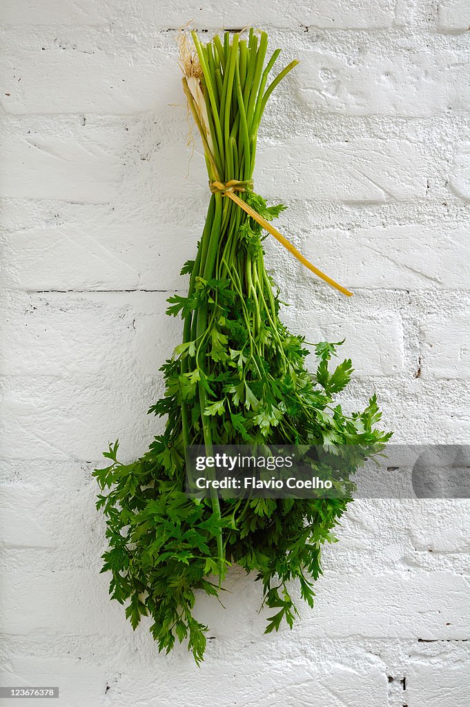 Bunch of parsley
