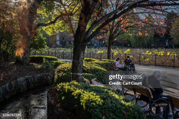 People relax in Ueno Park on November 24, 2021 in Tokyo, Japan. Tokyo Metropolitan Government recorded five new coronavirus cases today with eight...