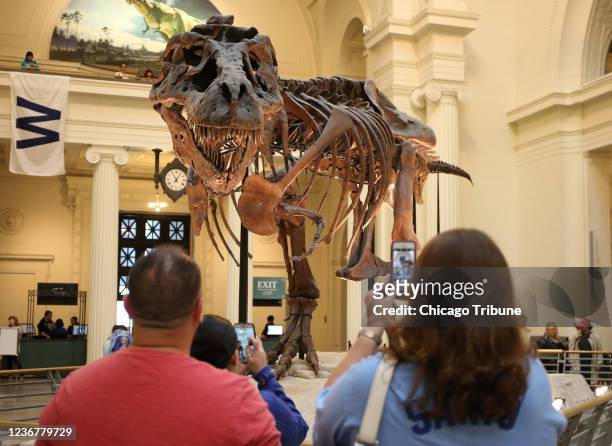 Sue the T. Rex strikes a pose in its old location at the Field Museum in Chicago, Illinois.