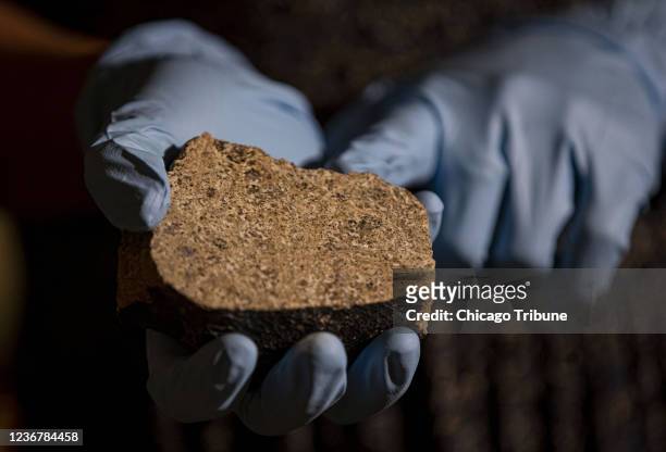 Researcher holds pieces of a meteorite that they identified as coming from the asteroid Vesta, on June 30 at the Field Museum in Chicago.