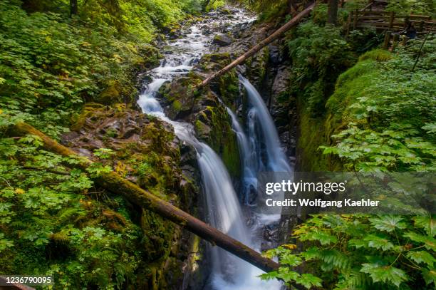 View of Sol Duc Falls on the Olympic Peninsula in the Olympic National Park in Washington State, USA.