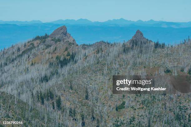 Hurricane Ridge Burned 749 Fires In Washington State Stock Photos, High-Res Pictures, and ...