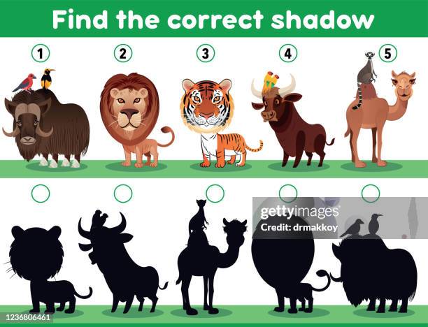 Shadow Riddles Shadow Riddle Photos and Premium High Res Pictures - Getty Images