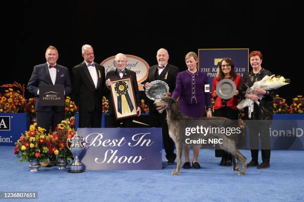 Pictured: 2021 National Dog Show Best In Show Winner, Scottish Deerhound named "Claire"; Angela Lloyd, Handler --