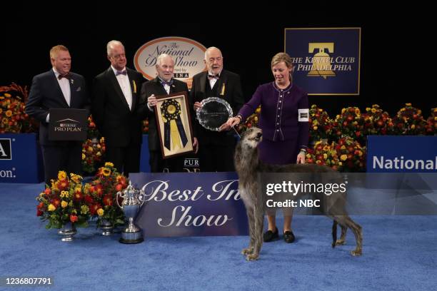 Pictured: 2021 National Dog Show Best In Show Winner, Scottish Deerhound named "Claire"; Angela Lloyd, Handler --