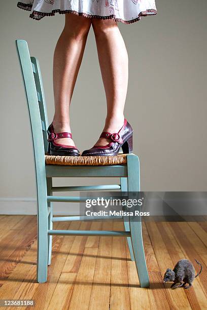 Scared Computer Mouse 600 Scared Mouse Stock Photos, High-Res Pictures, and Images - Getty Images