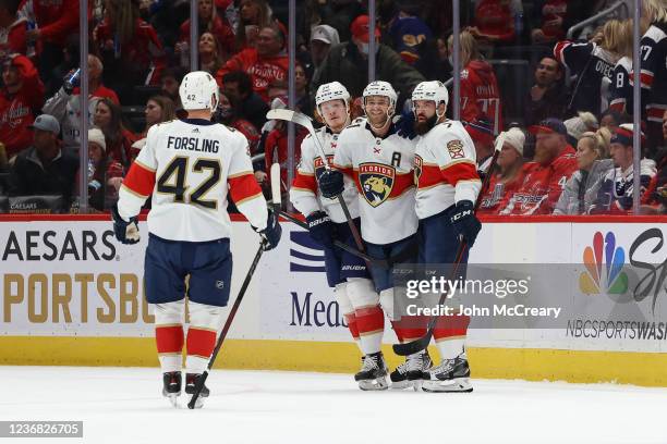 The Florida Panthers celebrate a first period goal during a game against the Washington Capitals at Capital One Arena on November 26, 2021 in...