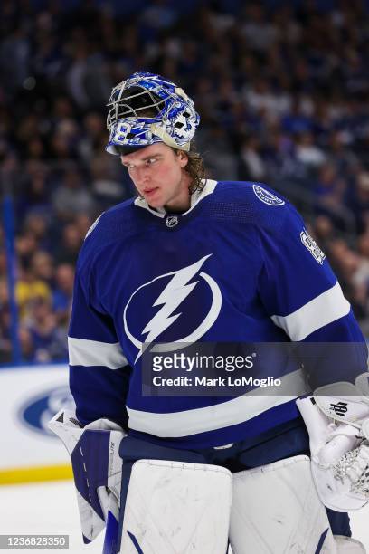 Goalie Andrei Vasilevskiy of the Tampa Bay Lightning between whistles against the Seattle Kraken during the second period at Amalie Arena on November...