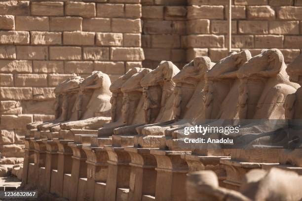 View of sphinxes at Karnak Temple Complex in Luxor, Egypt on November 27, 2021. The temple complex is the source for ancient Egyptian history and...