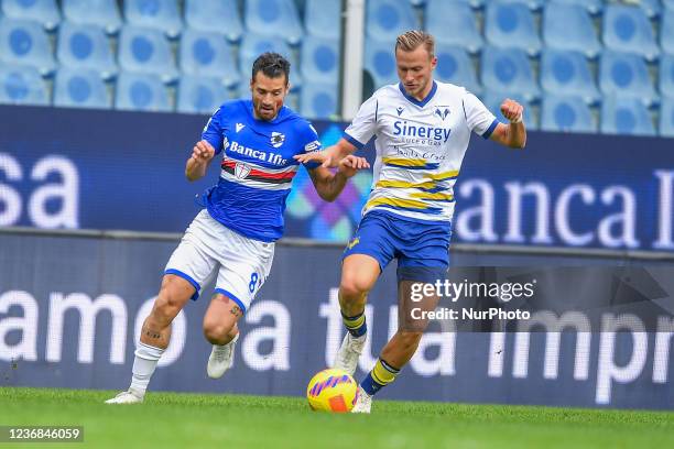 During the italian soccer Serie A match UC Sampdoria vs Hellas Verona FC on November 27, 2021 at the Luigi Ferraris stadium in Genova, Italy