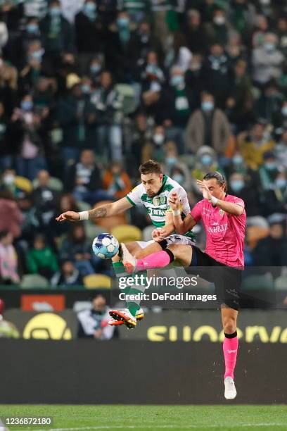 Sebastian Coates of Sporting CP, Sarabia of Sporting CP battle for the ball during the Liga Portugal Bwin match between Sporting CP and CD Tondela at...