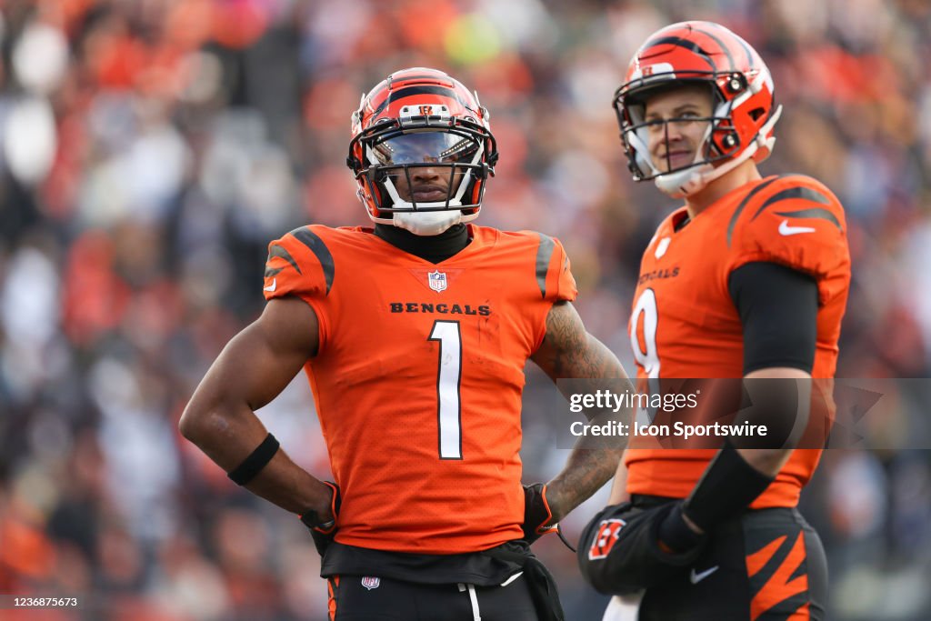 NFL: NOV 28 Steelers at Bengals