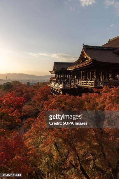 Autumn leaf color surround the main hall of the Kiyomizu-dera Buddhist temple in Kyoto.