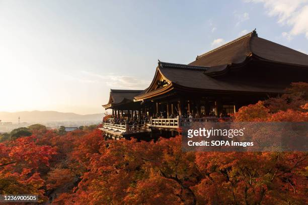 Autumn leaf colors surround the main hall of the Kiyomizu-dera Buddhist temple in Kyoto.