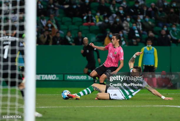 Sebastian Coates of Sporting CP during the Liga Bwin match between Sporting CP and CD Tondela at Estadio Jose Alvalade on November 28, 2021 in...