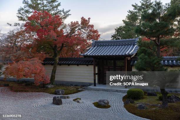View of the Zen garden with Momiji tree inside the Toji-in Temple. Toji-in was established in 1341 on the southern slope of Mount Kinugasa by the...