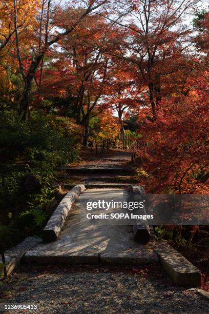 Shinji'ike Pond bridge surrounded with Japanese maple tree inside the Toji-in Temple. Toji-in was established in 1341 on the southern slope of Mount...