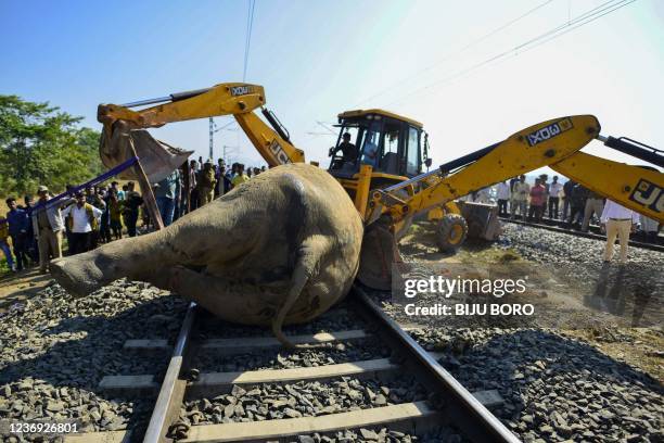 Graphic content / Forest officials use earthmovers to remove one of the two elephants that died after colliding sideways with a train from the track...