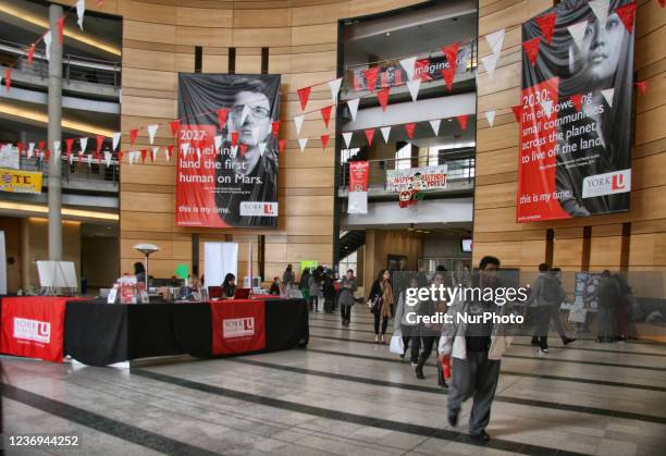 Vari Hallm Vari Hall Photos and Premium High Res Pictures - Getty Images