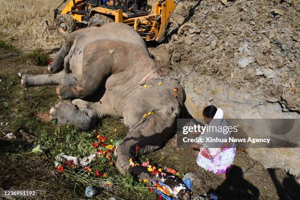 This image depicts death) A woman pays tribute to a dead elephant that was hit by a train while crossing a railway track in Morigaon district of...