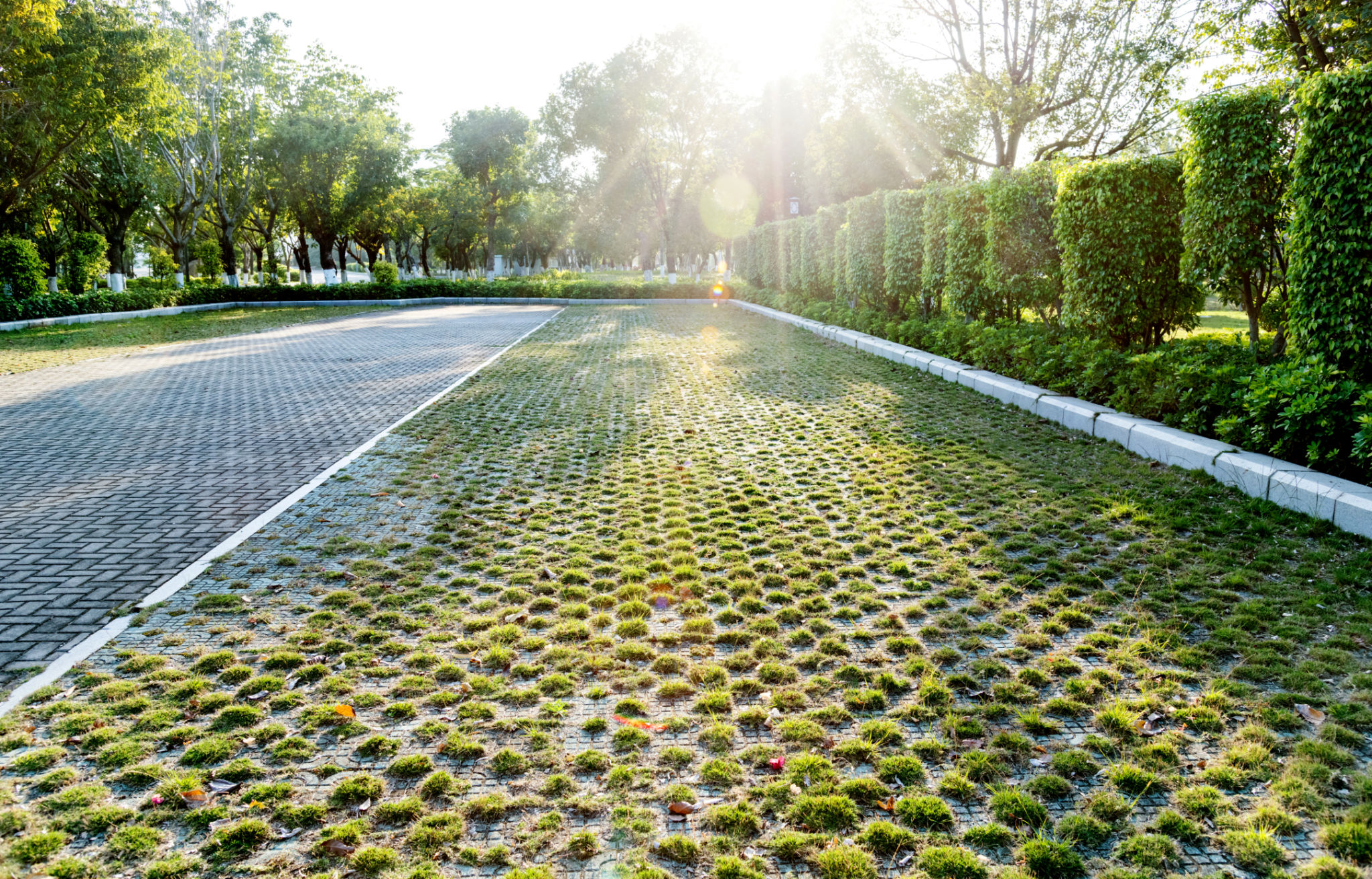 green parking lot