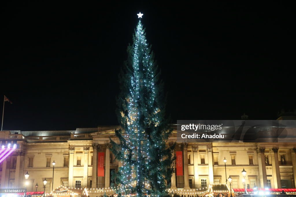 Christmas tree lighting ceremony in London