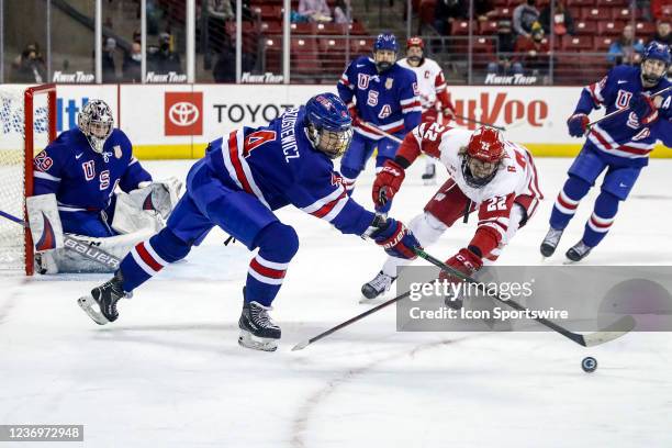 Wisconsin forward Ryder Donovan and U-18 defenseman Hunter Brzustewicz battle for the puck while U-18 goalie Dylan Silverstein looks on during a...