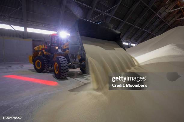 Worker operates a front end loader to move granules of phosphate fertilizer in a storage warehouse at the PhosAgro-Cherepovets fertilizer plant,...